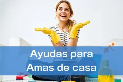 Ayudas para amas de casa