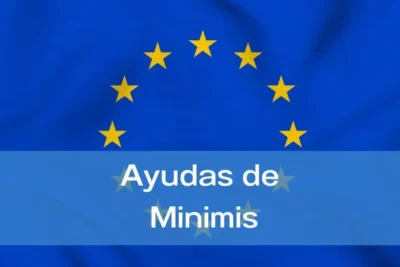 Ayudas minimis